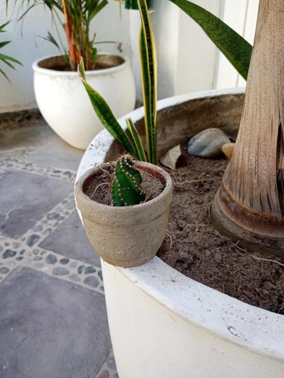 Casa Verde Hotel Santa Marta  Kültér fotó